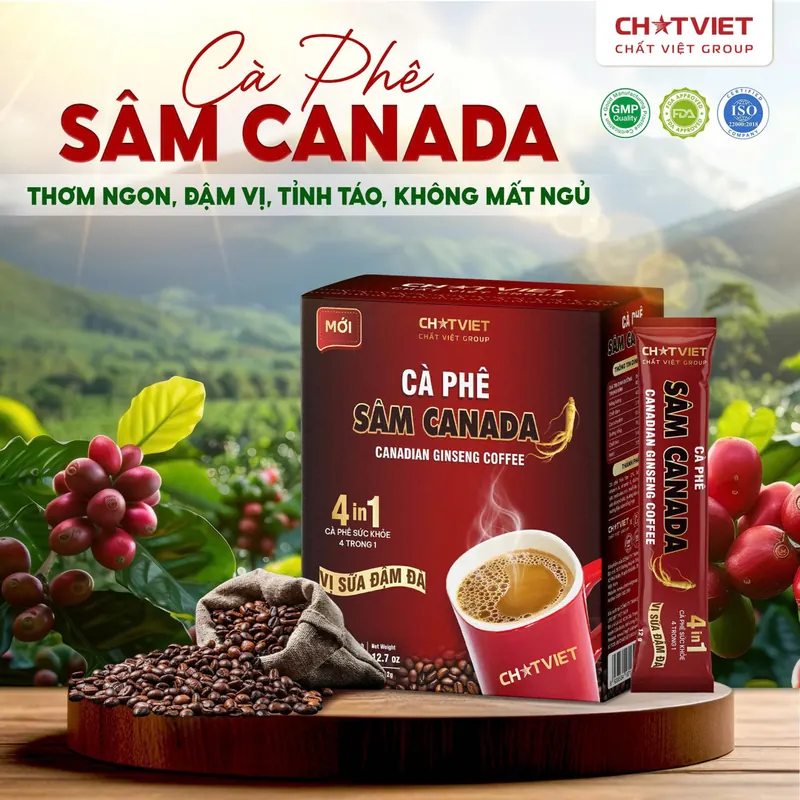 Cà Phê Sâm Canada Life Gift VN (Hộp 10 Gói)